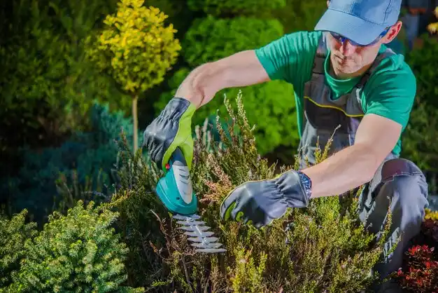 landscaping services Kirtland Hills